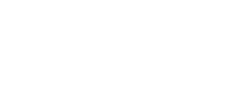 Renault Group